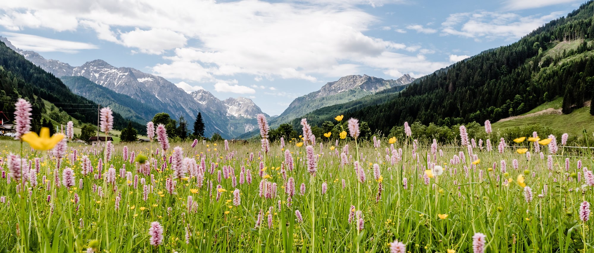 Wagrain is the perfect base for a hiking holiday.