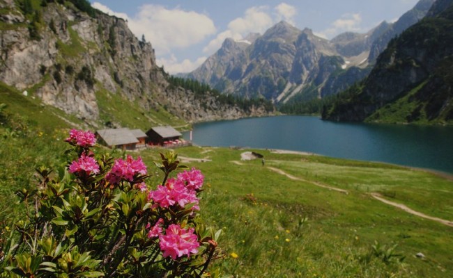 Summer idyll at Lake Tappenkarsee