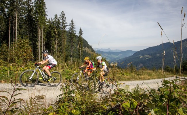 Explore the Salzburg mountains by mountain bike