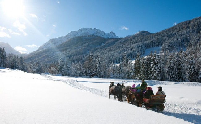 A cosy sleigh ride through the snow-covered valley
